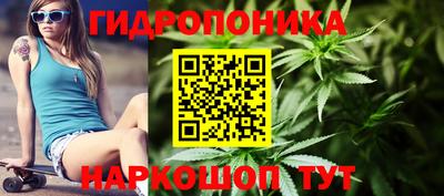 мяу мяу мука Ставрополь