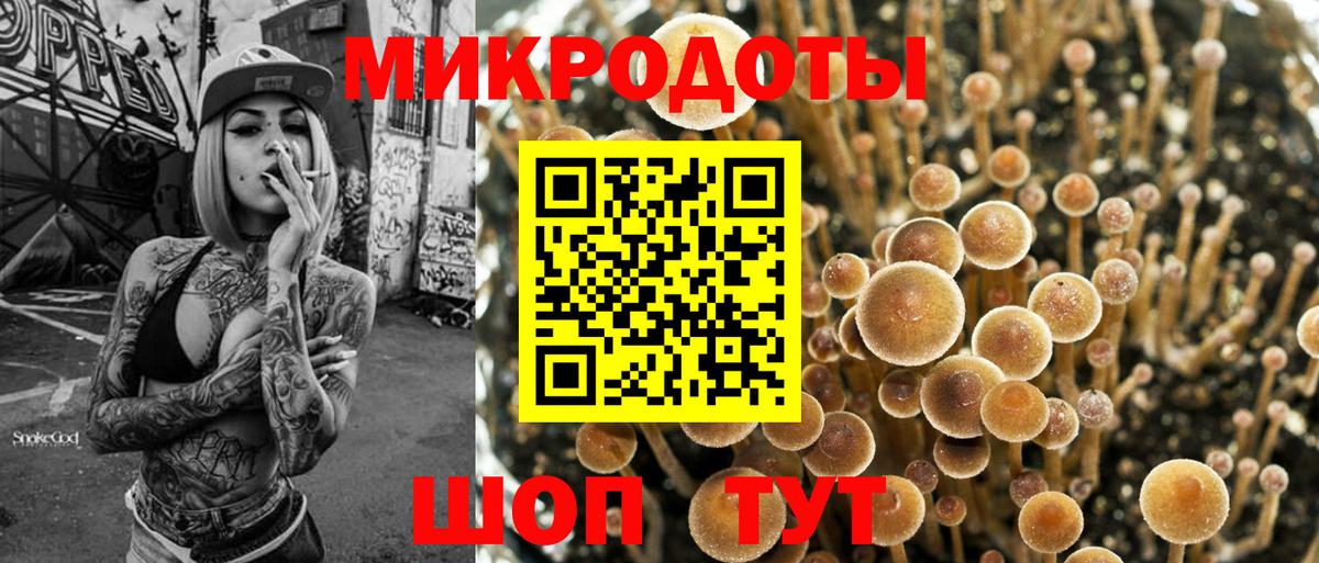 Белебей  Псилоцибиновые грибы Psilocybe  Вход с VPN 