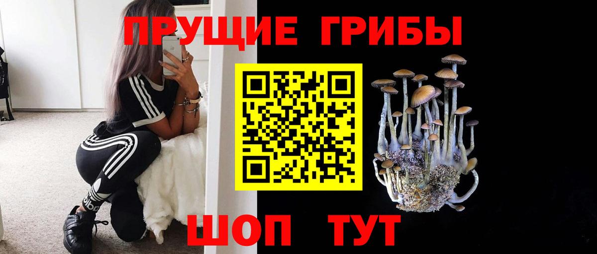 Галлюциногенные грибы Psilocybe Белебей